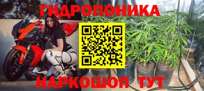 PSILOCYBIN Севастополь
