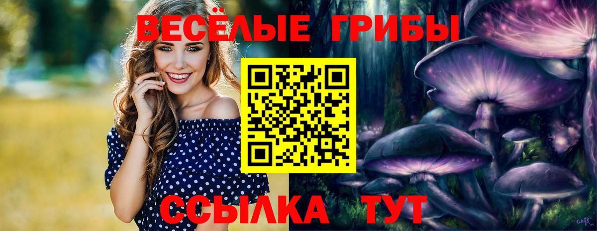 Галлюциногенные грибы Cubensis Аша